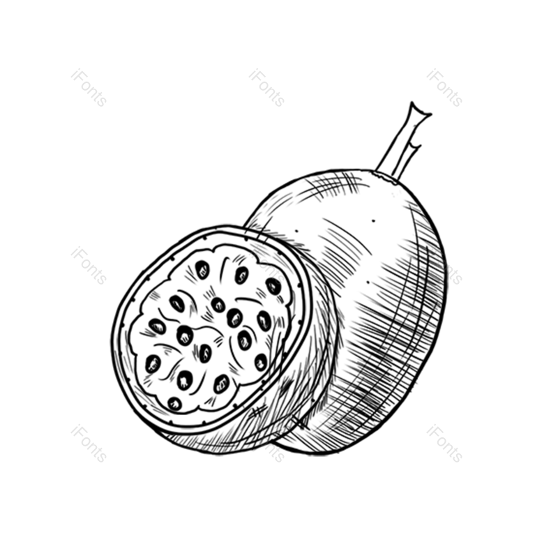 卡通插画图片,水果元素,美味PNG,水果线描免抠素材